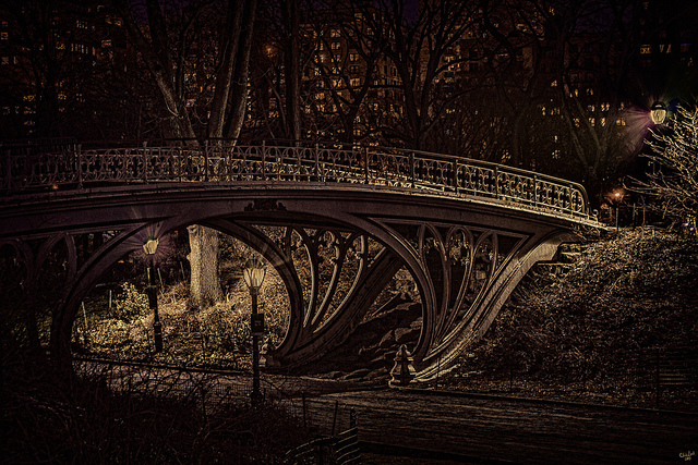 Central Park bridges running at night