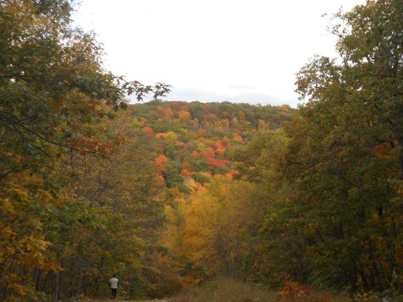 Mountain Madness 50K nj trail ultra after (21)