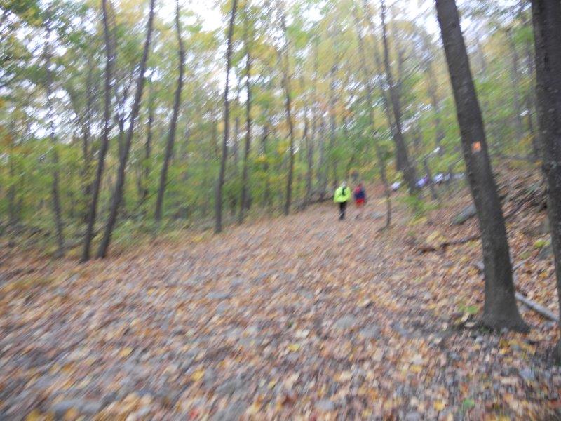 Mountain Madness 50K nj trail ultra course (2)