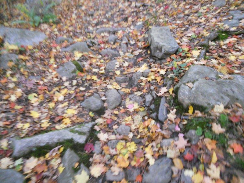 Mountain Madness 50K nj trail ultra course (3)