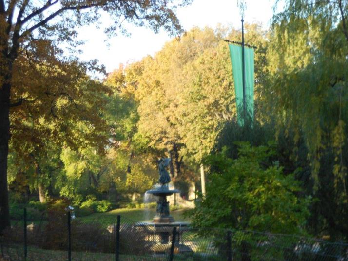 2011 New York City Marathon Footlocker Five Boro Challenge central Park (1)