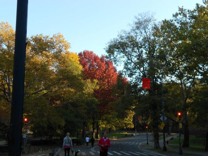 2011 New York City Marathon Footlocker Five Boro Challenge central Park (7)