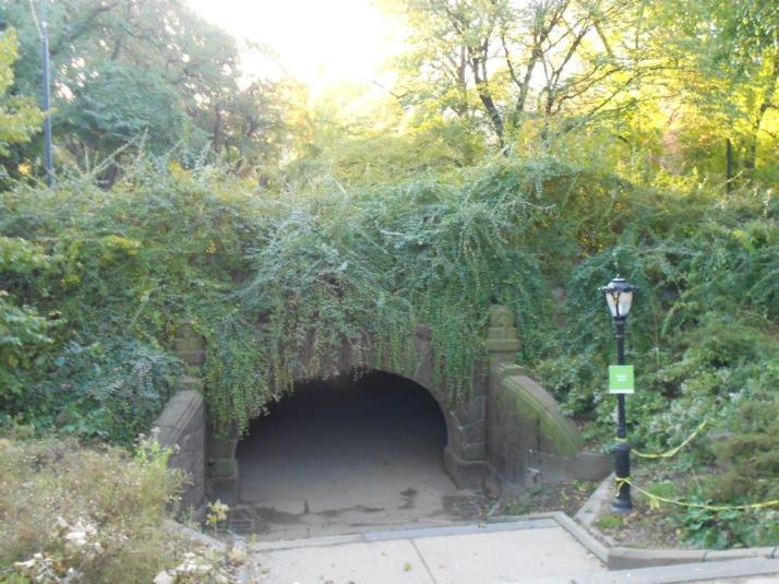 2011 New York City Marathon Footlocker Five Boro Challenge central Park (7)