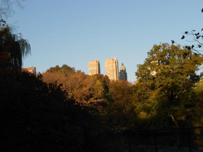 2011 New York City Marathon Footlocker Five Boro Challenge central Park (7)