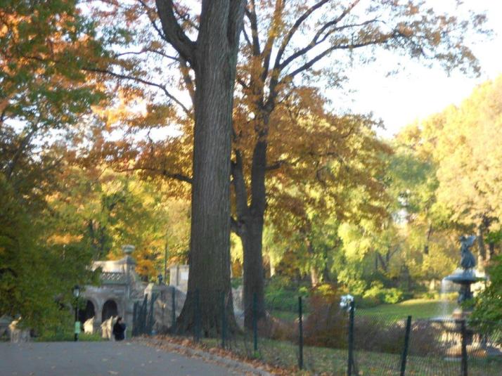 2011 New York City Marathon Footlocker Five Boro Challenge central Park (7)