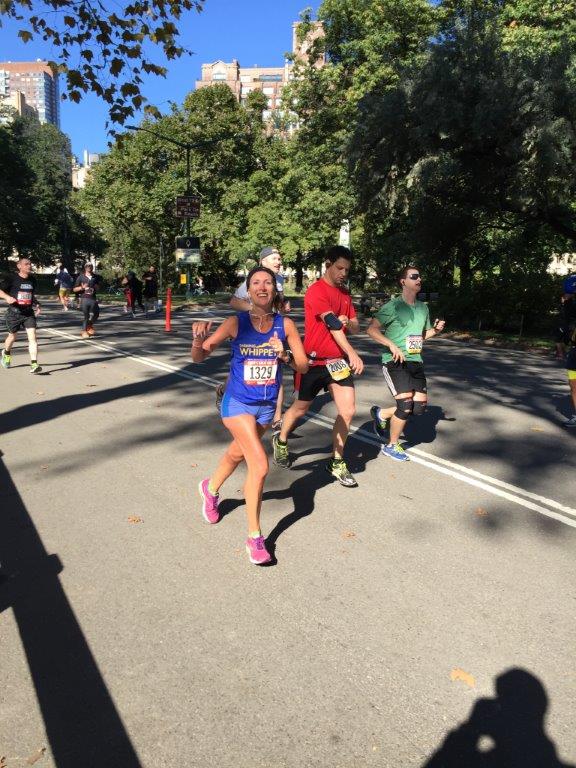 gretes gallop pictures results (10)