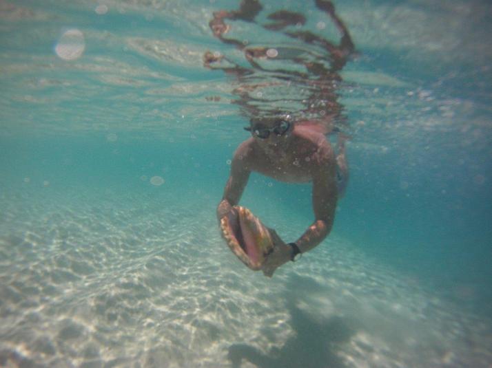 st croix bucks island snorkeling caribbean sea adventures (15)