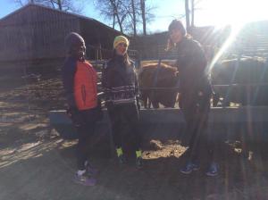 Rockefeller State Park NY trails running run (11)