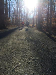 Rockefeller State Park NY trails running run (15)