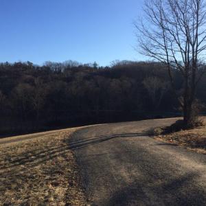 Rockefeller State Park NY trails running run (2)