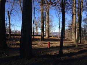 Rockefeller State Park NY trails running run (6)