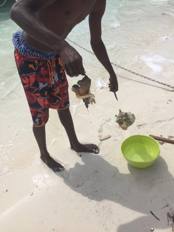 turks and caicos beach review photos what to do snorkelling running in grace bay (134)