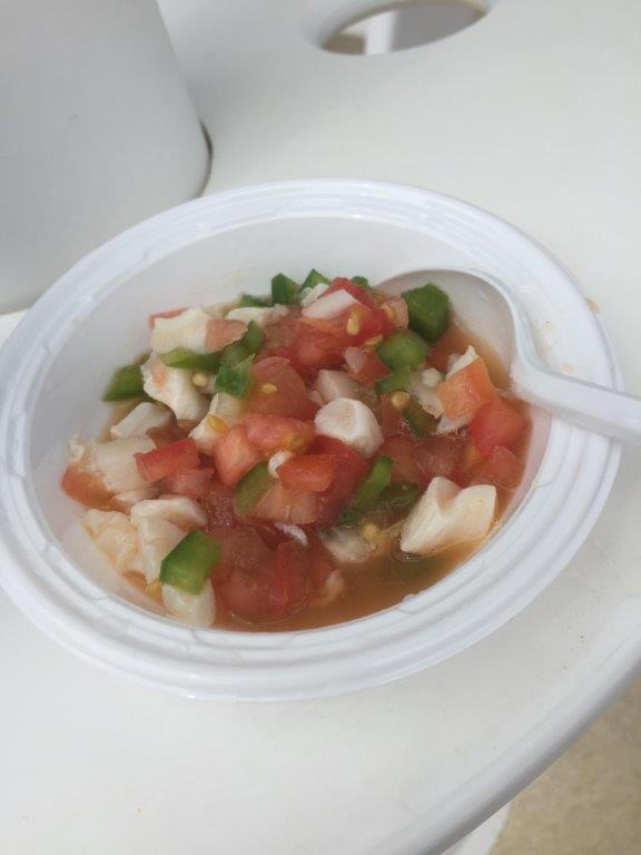 turks and caicos beach review photos what to do snorkelling running in grace bay (161)