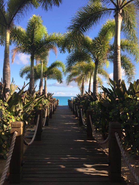 turks and caicos beach review photos what to do snorkelling running in grace bay (236)