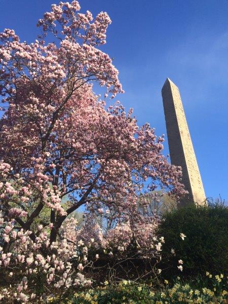 nyrr run as one  (3)