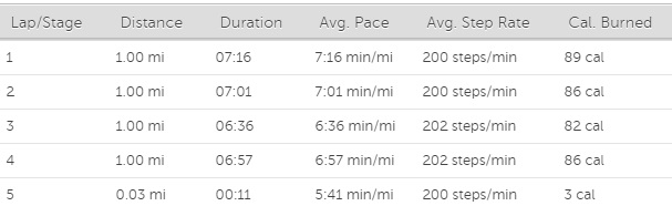 nyrr al gordon brooklyn pictures results (1) laps